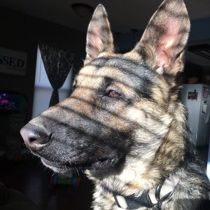 Meet your Posher, Katelyn